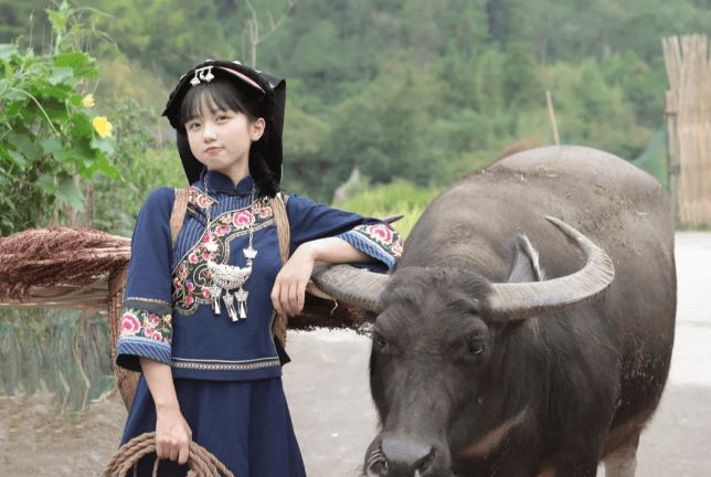 费多少张家界五天省钱避坑指南！张家界旅游五天四晚旅游大致花(图2)